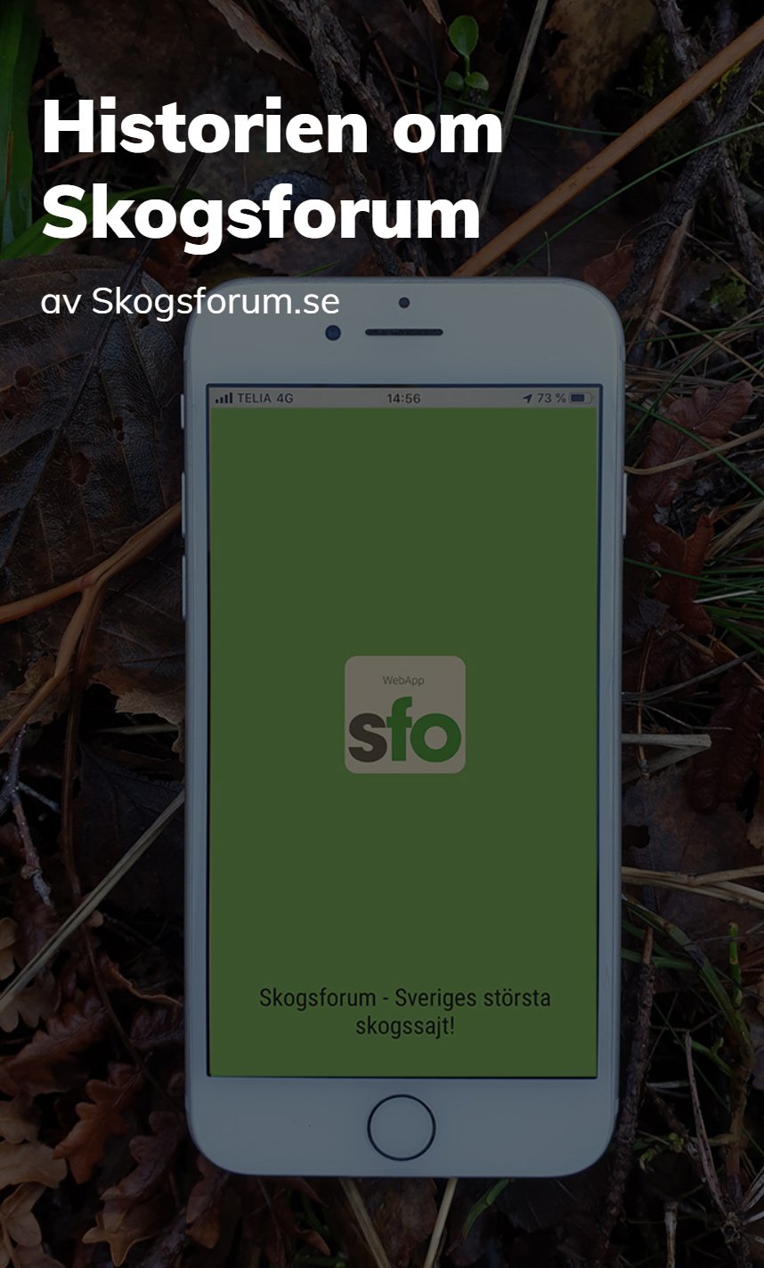 Historien om Skogsforum