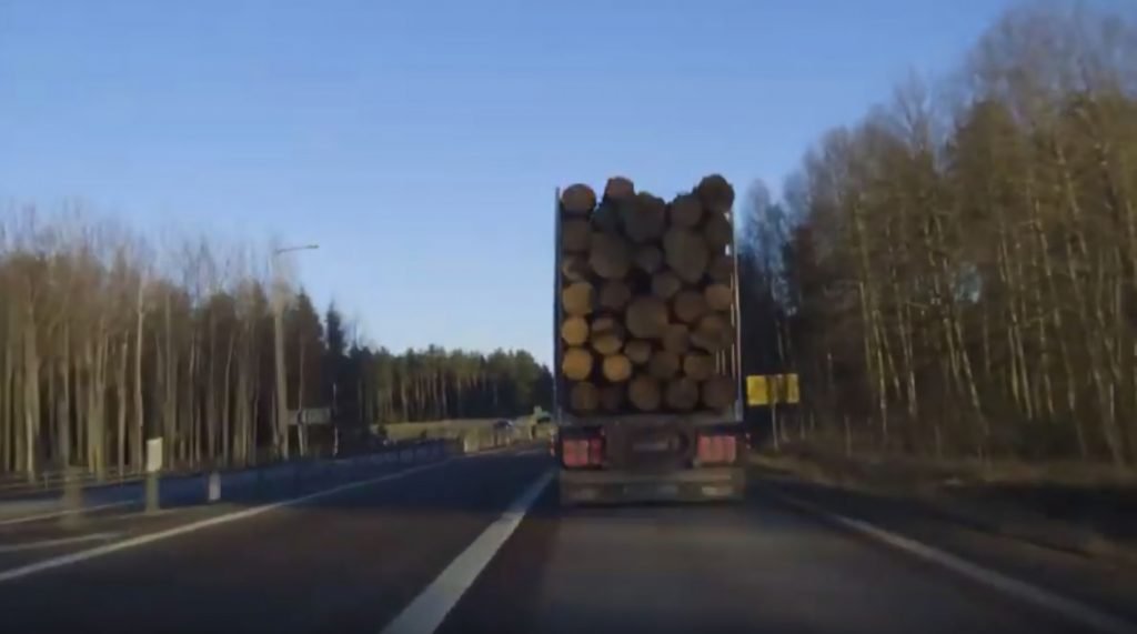 Skogsfilm 2021 skarvar på skogsbrandsfoto 6 Timmerbil-småland-skogen