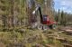 Bild på en skördare (skogsmaskin) som avverkar skog