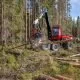 Bild på en skördare (skogsmaskin) som avverkar skog