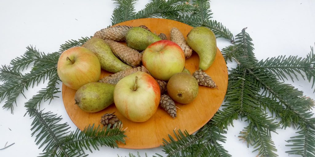 Vilka är i skogen 2021 -- ”nästan alla svenskar”, eller? 6 fakta skog äpplen päron grankottar tallkottar