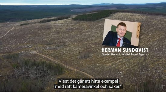 Generaldirektör Skogsstyrslsen miljörörelse sätter tryck