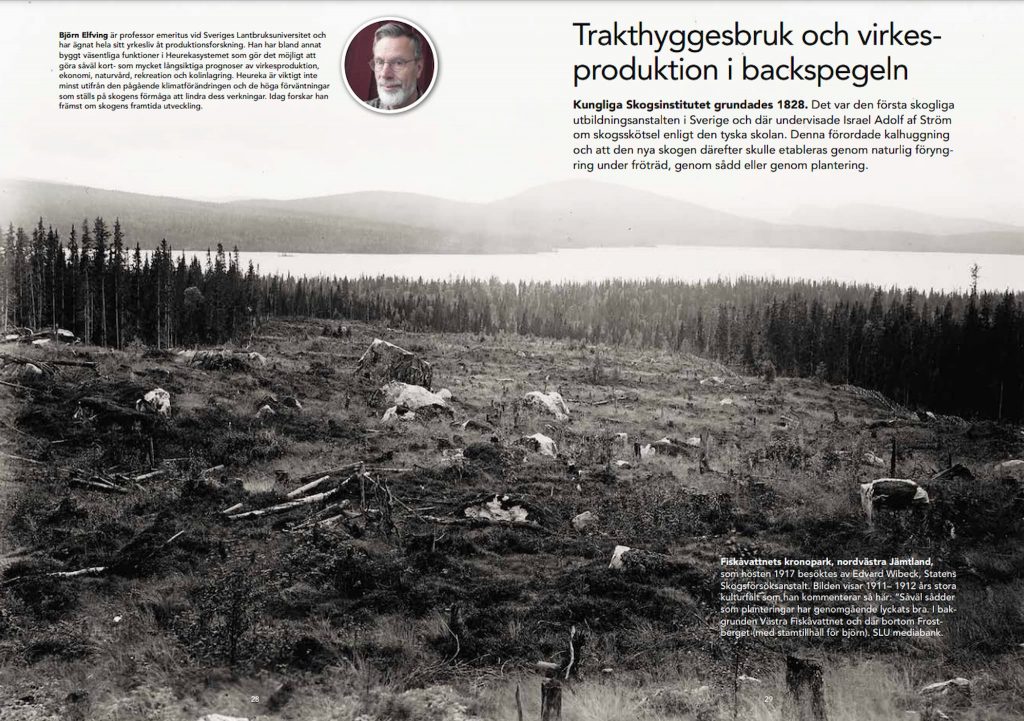 Björn Elfving förklarar om skogsbruket förr i tiden. Klicka för att förstora bilden. Björn Elfving förklarar i en tidskrift i Skogshistoriska sällskapet. Tyskarna förde in skogsbruket på bred front i Sverige i slutet av 1800-talet.