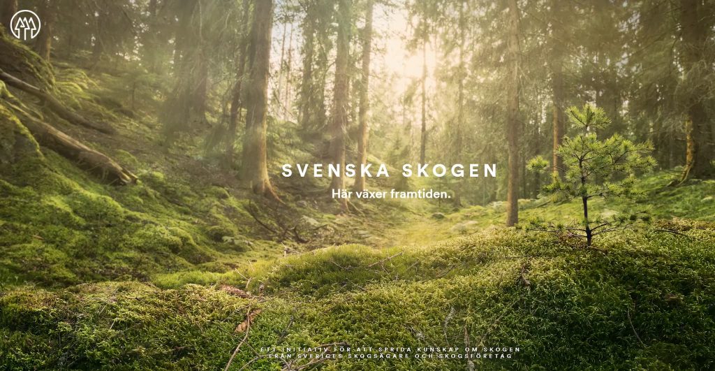 Svenska skogen – snart 200 miljoner satsade 5 Kampanjsida svenska skogen