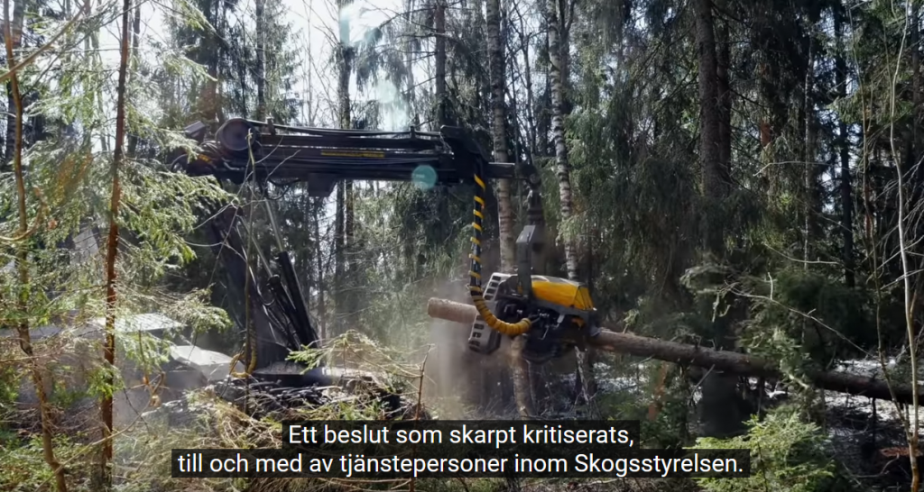 Skogsstyrelsen äskar medel- nyhet 2021? 6 Skördare arbetar i svensk blandskog