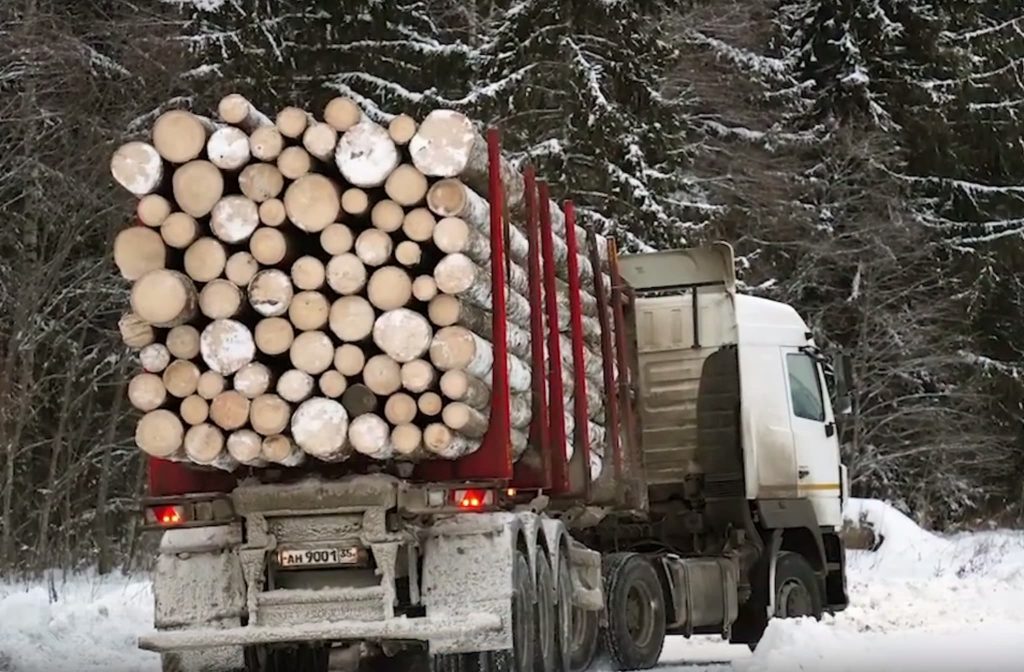 Fakta om skogsbruket 2021 — jämförs gran- och tallkottar? 7 En rysk timmerbil används i SNS rapport om fakta om de Nordiska skogarna.