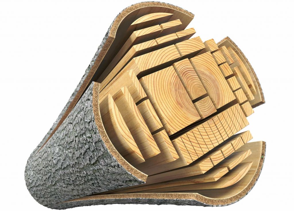 Sågutbyte eller flis — viktiga procent 2021? 8 En illustration över exempel på ett sågutbyte i en timmerstock.