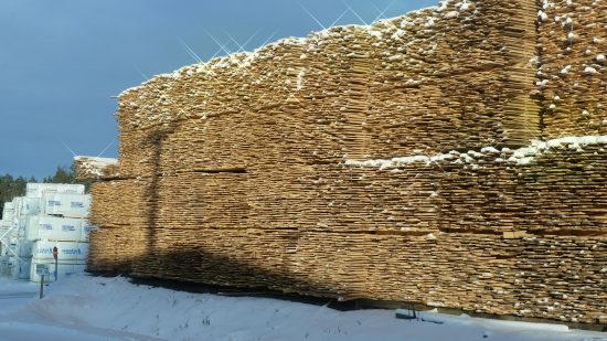 Sidobrädor i massor