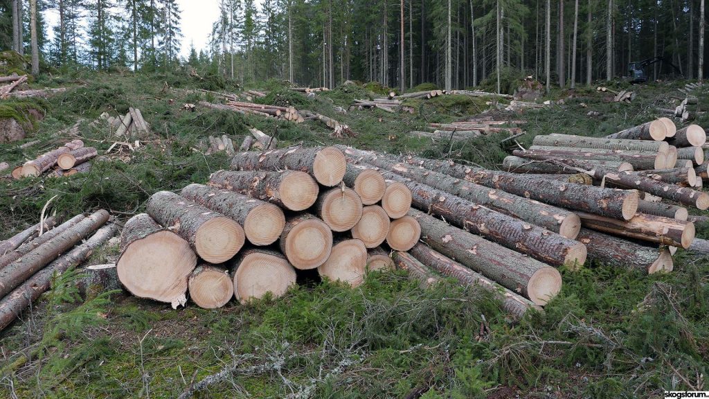 Krönika: Svensk skogsnäring krymper 8 Enligt SKA22 så överavverkar vi barrtimmer