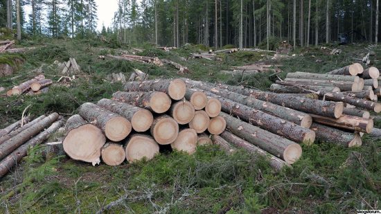 Virkesbrist enligt SKA22 – dags att investera i förädling? 4 Enligt SKA22 så överavverkar vi barrtimmer