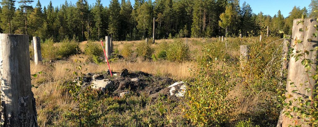 Tar Skogsstyrelsen hjälp av vinden 2021? 5 Skogsstyrelsen visar på ökade skador på kulturlämningar.