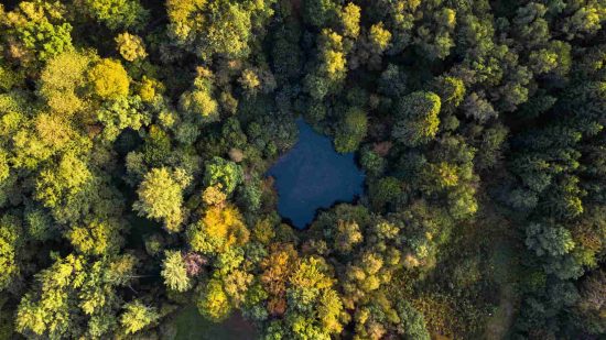 Sveaskog klimatanpassar statens skogar 4 Sveaskog klimatanpassar skogen, delvis med vatten