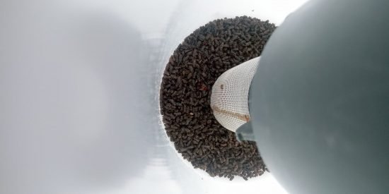 Barkborresvärmningen gick igång vecka 19 — hur omfattande? 4 Barkborresvärmning-fullt-fälla