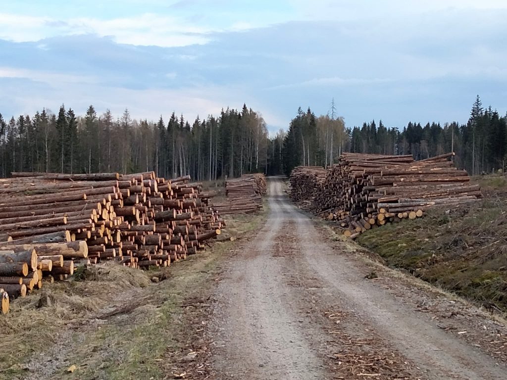 Rundvirkeslager inför barkborre- och brädgårdsrallyt 2021 6 Rundvirkeslager-sågtimmer-massaved