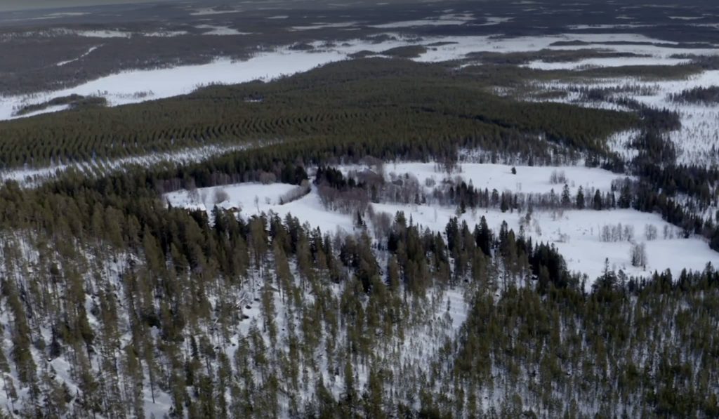 Rovdjurspolitiken och den stora älgvandringen norrut — en köttbergsbonus på 3 miljoner kilo? 5