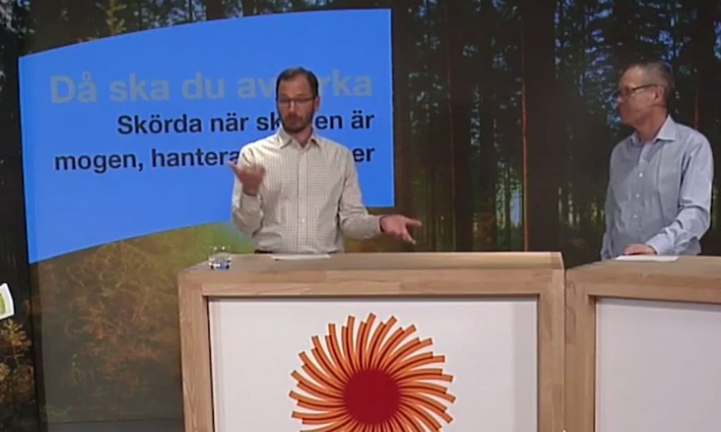 "Bocken till trädgårdsmästare" — många virkesköpare vill hjälpa till i skogen 2021? 6 VD-Virkesköpare-Stora Enso Skog