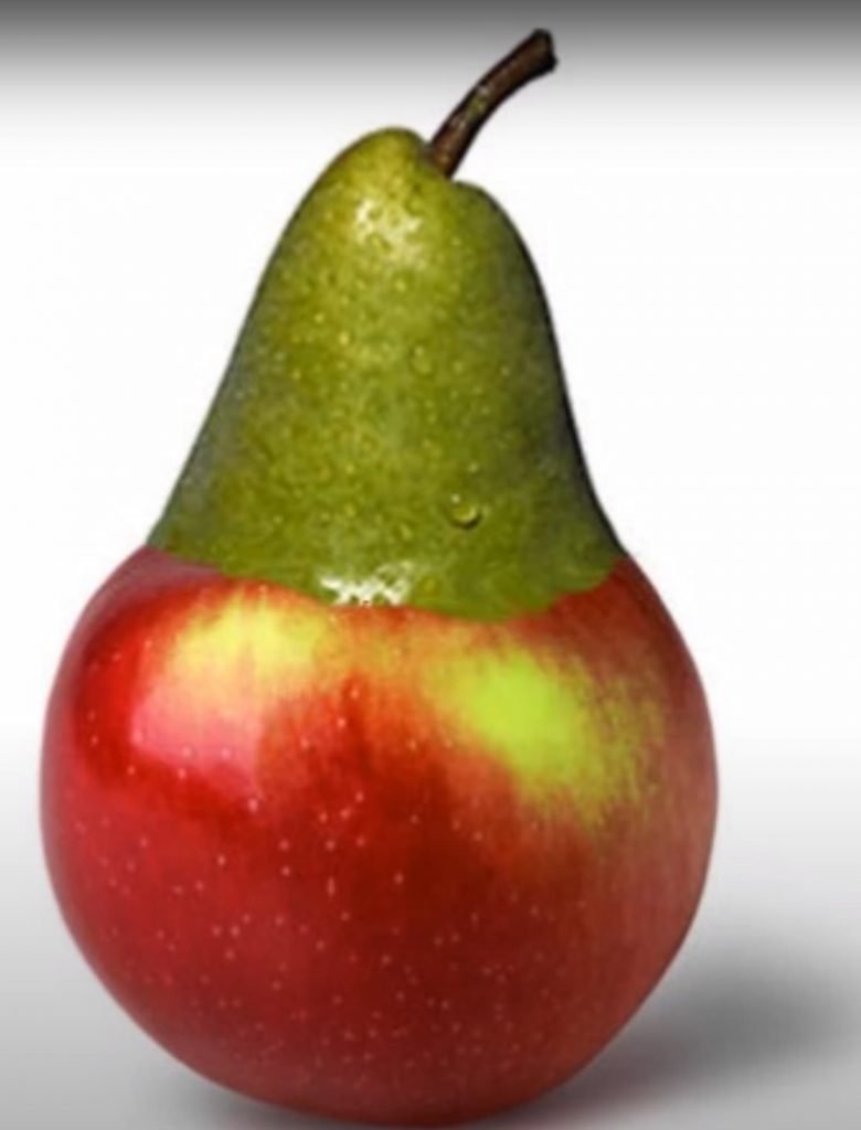 Virkespriser och timmerpriser -- "gött mos" av päpplen 2021? 8 Virkespriser-timmerpriser-päpplen