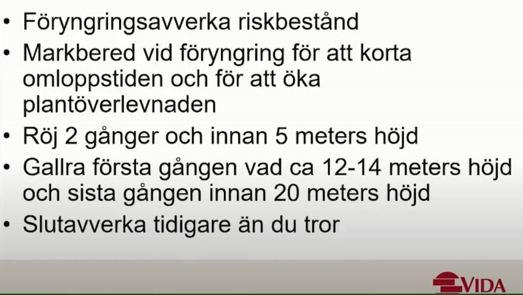 Granbarkborre— teori vecka 18, svärmning vecka 19? 9