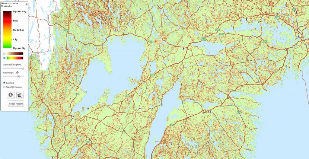 Granbarkborre— teori vecka 18, svärmning vecka 19? 6 Riskbestånd-första-granbarkborre-2021