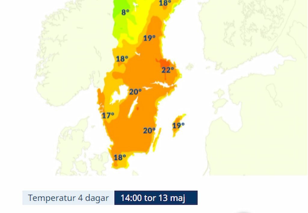 Granbarkborre— teori vecka 18, svärmning vecka 19? 5 Varmt-granbarkborre-vecka-18