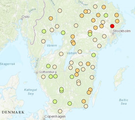 granbarkborresvärmning vecka 20