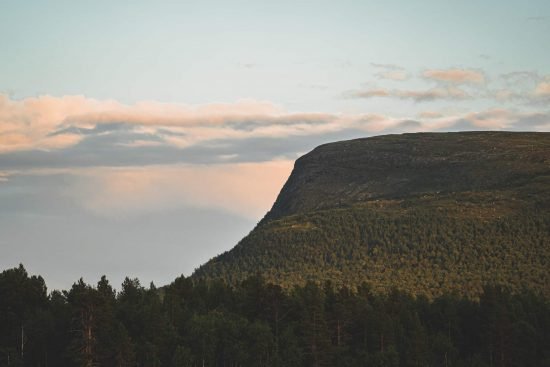 Skogsindustrins judaskyss i fjällnaturskogen? 4 Fjällnaturskog i Sverige