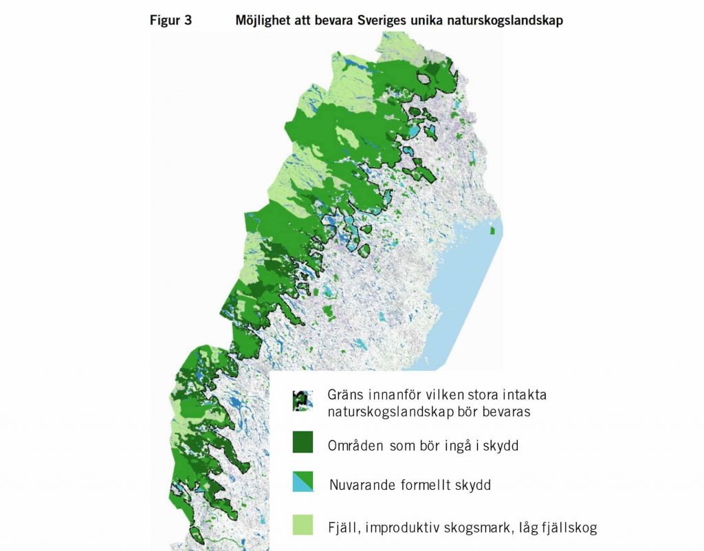 Skogsindustrins judaskyss i fjällnaturskogen? 5 Område som föreslås beröras som fjällnaturskog enligt Skogsutredningen.