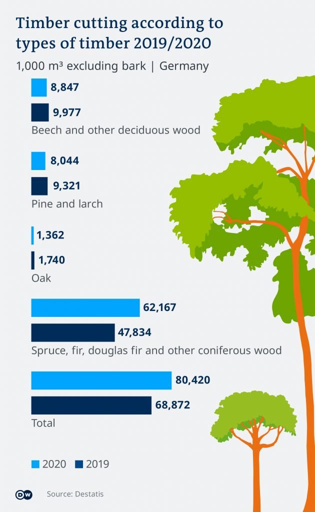 Tysk skogsavverkning rekordhög 2020 - sågverken går för högtryck 5 tysk skogsavverkning slog rekord 2020