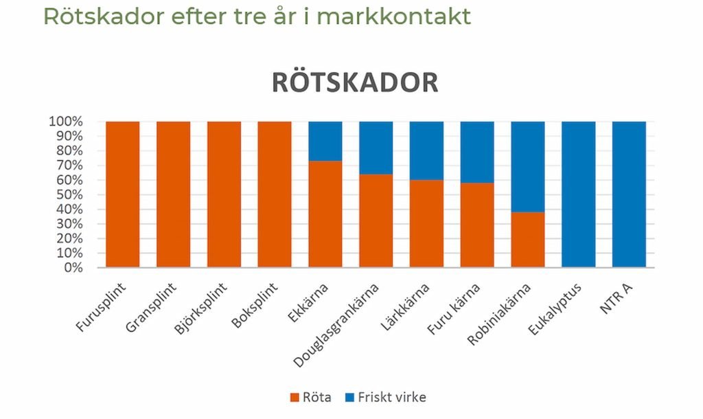 Beständigt trallvirke efter trävaruboomen 2021? 8