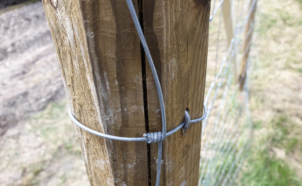 Ädellövskog — hägn och bidrag för ädellöv i 50 år 8 Hägn är obligatoriskt vid etablering av ädellövskog.