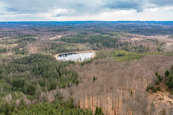 Höga och långa spel på bolagsskog 2021? 4 Bolagsskog-Ludvig-Halland