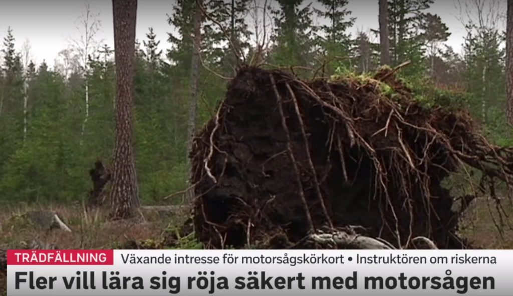 Motorsågskörkort 2021 -- säker efterfrågan ? 6