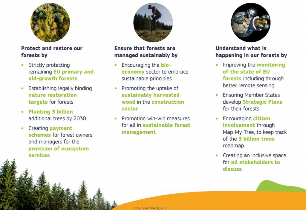 EU-kommissionens skogsstrategi 2021 -- en kompetensfråga? 5