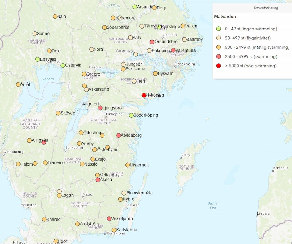 Mera borrar -- fler fångade i år på 20 av 54 orter. 5