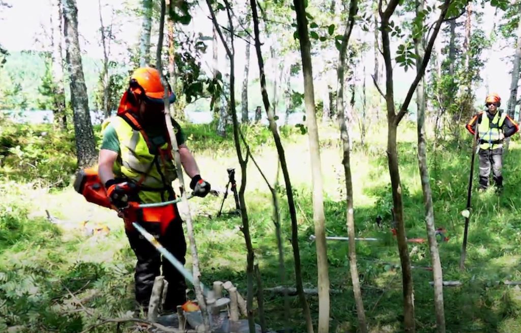 Motorsågskörkort 2021 -- säker efterfrågan ? 5