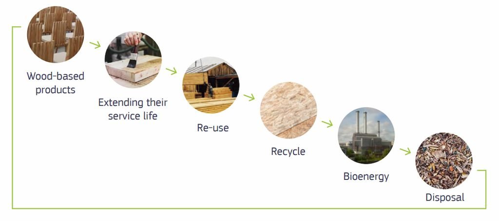EU-kommissionens skogsstrategi 2021 -- en kompetensfråga? 7