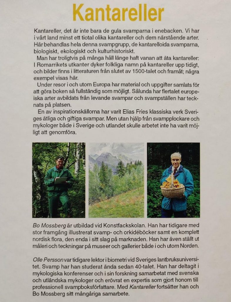 Tips för att hitta kantarellen i skogen 2021 9