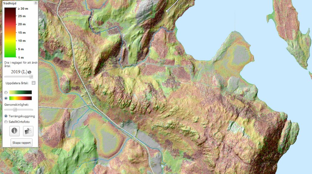 Mölnbackagranen på dryga 49 meter — receptet hyperitberggrund, sydöstsluttning och ett tysk ursprung? 5 Mölnbackagranen-aktuellt-område