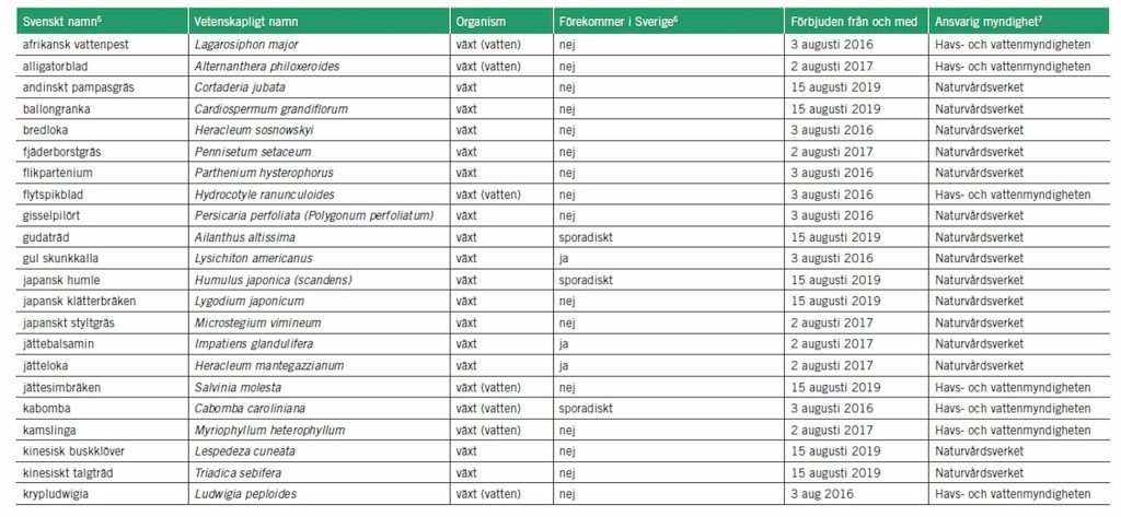 Invasiva balsaminer i skogen 2021 -- inte bara contorta och tysklönn 8