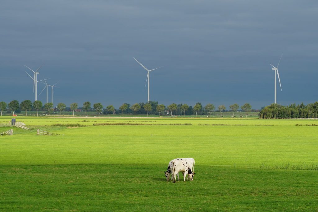 LULUCF-förordning på remiss 2021 -- fattar tillfrågade hur detta inte funkar? 7