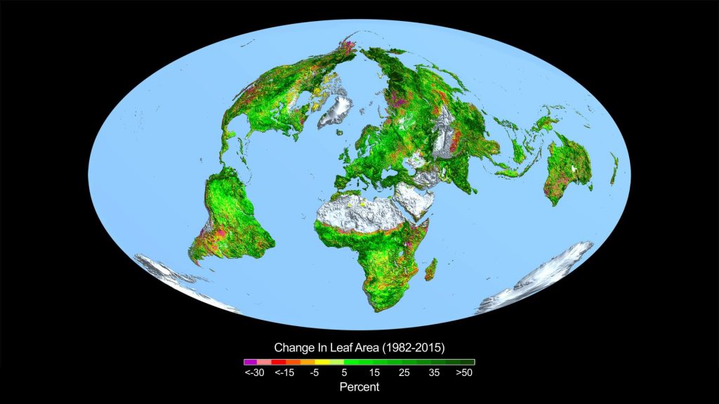 Kommer oljeindustrin kräva ersättning för ökad tillväxt genom fossil CO2? 6 Global lövtillväxt i area enligt modell från Nasa som oljeindustrin nu använder.
