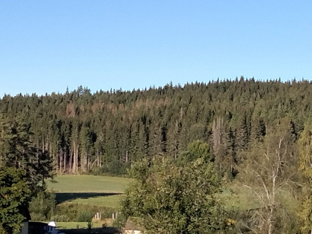 Granbarkborre 2021 -- svårt med rätt rekommendationer, och ännu svårare med genomförandet? 7 Denna bild har ett alt-attribut som är tomt. Dess filnamn är IMG_20210904_080053_RV62_2048-1024x768.jpg