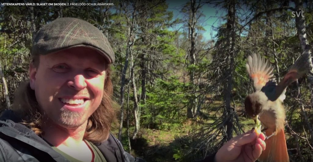 Alternativa skogsfakta i "Slaget om skogen" 2021 8 Skogsfakta