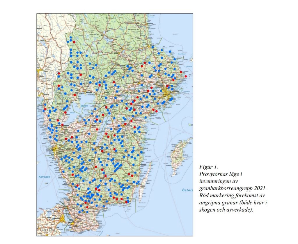 Fortsatta rekordangrepp av granbarkborre 2021 6 Inventering av granbarkborre 2021. Provytornas belägenhet.