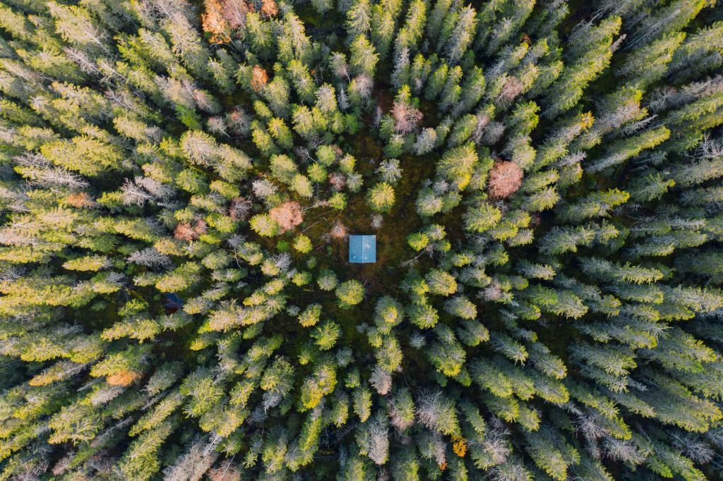 KI förespråkar Bonus Malus på skoglig kolsänka 7 Den svenska skogen