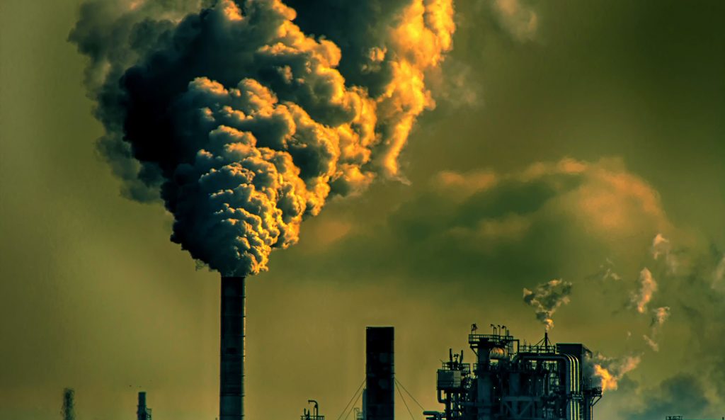 Skog och mark i Finland blev en kolkälla 2021? 8 BECCS på massabruk med hjälp av GROT