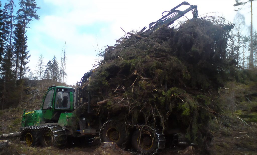 BECCS på massabruk — en sminkad gris? 6 GROT som hämtas på ett hygge. Består av GRenar Och Toppar