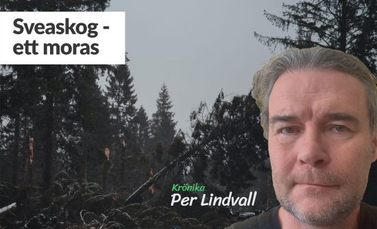 Krönika om Sveaskog av Per Lindvall