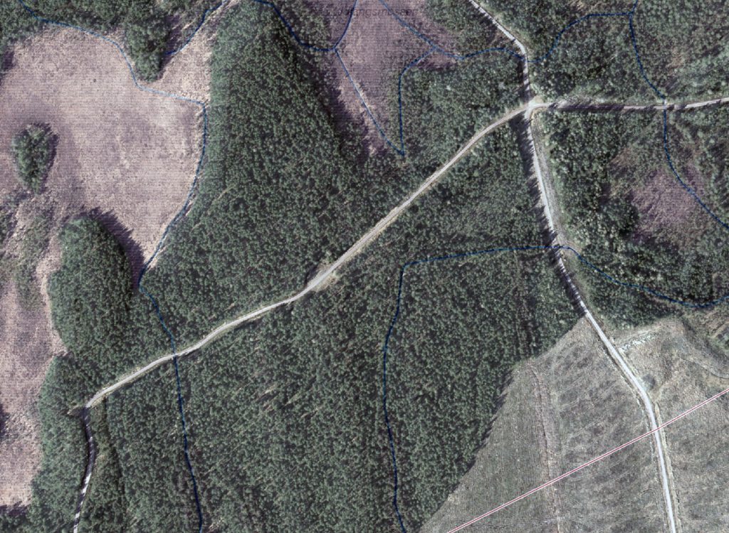 Sveaskog kan skapa 100.000 nya jobb på landsbygden? 6 Satellitbild som visar ett skogsskifte i Sverige