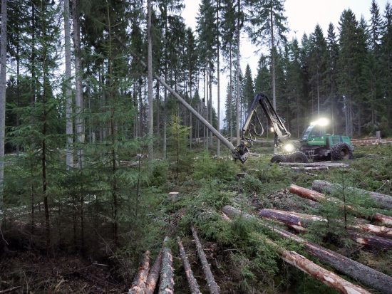 Skogsbruk i Sverige